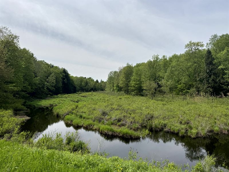 Private RV or Camp Getaway in Cny : Vienna : Oneida County : New York