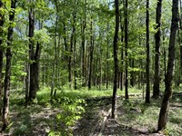 Homesite Minutes From Oneida Lake : Vienna : Oneida County : New York
