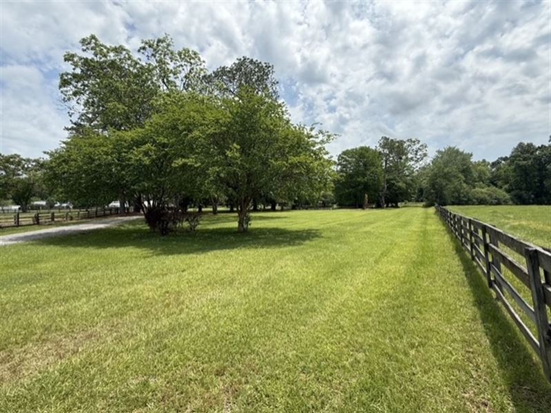 Walnut Creek Farm : Terry : Hinds County : Mississippi