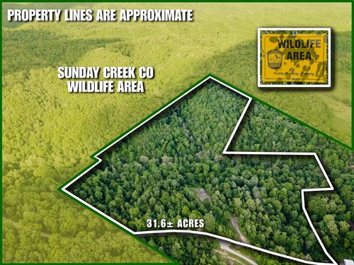 Burton Hill Rd, 31 Acres : Nelsonville : Hocking County : Ohio