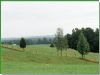 7.46 Acres Of Kentucky Bluegrass : Liberty : Casey County : Kentucky